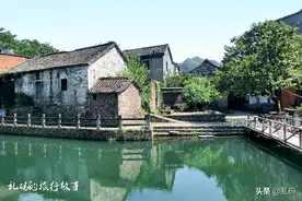 浙江这座古镇有独特“龙型古街”针刺无骨花灯被誉为“中华一绝”图片