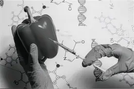 如何面对转基因农作物的种种质疑——不得不说的转基因（下）图片