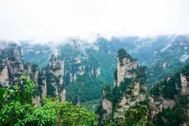 这里才是张家界最美的风景区，奇峰异石迷人眼，你去过了吗？图片