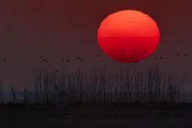 黄永明：千羡万羡东乡美图片