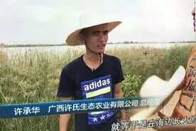 被央视“曝光”的海鸭蛋，为什么一戳就流油？真相原来这么简单图片