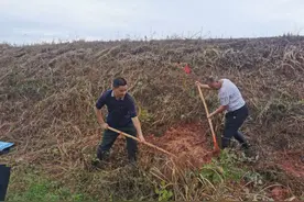 汪仁镇：党旗扬在一线，风雨砥砺初心图片