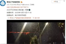 哈尔滨突然“大雪纷飞”，比常年更早一些！北方的严冬提前来了图片