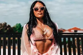 WWE泽莉娜·维加遭解雇之后，各大明星的态度曝光图片