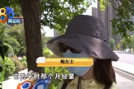 “泰迪”手术后死亡，怀疑诊所超范围经营图片