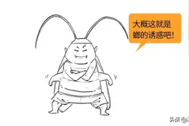 蟑螂的自白：人类是我最好的朋友图片