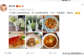 唐艺昕晒餐，暴露了小秘密，网友祝福并夸奖：张若昀的厨艺精进了图片