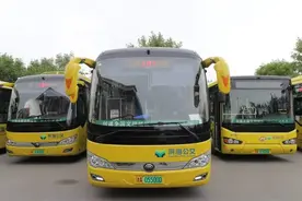 升级！滨海—中关村摆渡车今日起增加5站！免费不变！图片