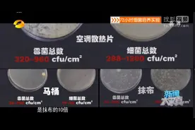 这些不以为意的物品是“细菌聚集地”，我们每天都在用图片