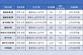 5.3万！沙井开出年度最高价，海岸城开盘还得等图片