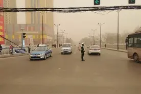 沙尘暴中的坚守图片