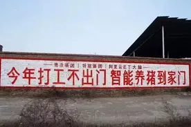 养着全球一半多的猪，却吃着40一斤的猪肉，钱被谁赚了？图片