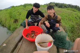 浙闽兄弟：去河里放黄鳝钩空军，还好留了一手！图片