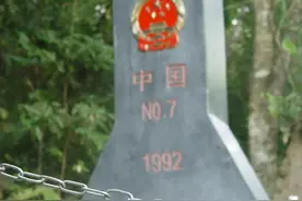 江城：花生长在大树上图片
