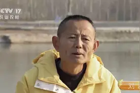这个山东人，不卖阿胶改养鱼，从亏50万到年赚2500万，凭啥图片