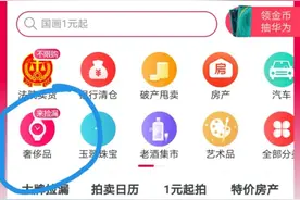 “阿里拍卖”到底是捡漏还是交的“智商税”？图片