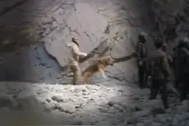 为战而生，为战而死。军犬：歼灭三分之一，因为我们是无声的战友图片
