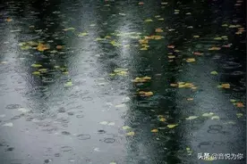 等一个晴天，我们真的会再相见吗？图片
