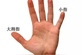 小指包含哪些特殊信息和你一起分享图片