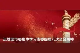 运城团市委集中学习市委四届八次全会精神图片