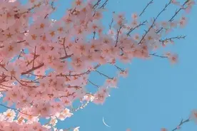 感情中，不后悔爱上你，也不后悔离开你，问心无愧的3星座图片
