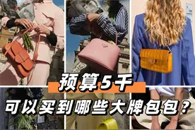 二手奢侈品种草｜五千元到底能买哪些大牌包？图片
