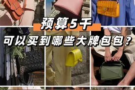 二手奢侈品种草｜五千元到底能买哪些大牌包？图片