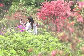 好消息！国家4A级旅游景区湖南省森林植物园免费迎客视频封面