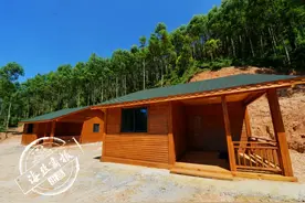 南安这块闲置地上，一栋栋木屋拔地而起图片