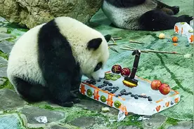 我叫“圆宝”我今天一岁了图片