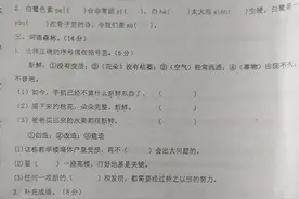 片区联考五年级试卷，最低分33，该如何找到突破口提高学习成绩图片