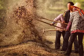 榆中县马坡乡秋意正浓（组图）图片
