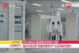 江苏这八家企业入围全国软件业务收入百强，全部来自南京视频封面