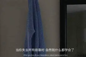 世界上的原谅和宽容，都是以折磨自己为代价图片