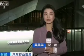 央视财经女记者姜美羊，采访雷军造车出圈，清新秀丽干净洒脱图片
