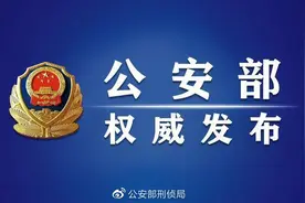 公安部部署全国公安机关开展“云剑-2020”行动图片