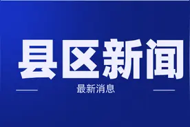 博罗荔枝总产量预计比往年高 拟培养一批主播拓销路图片