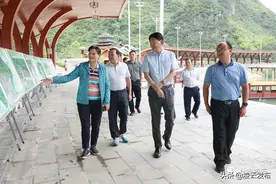 周家斌到凌云开展“泗水缤纷”田园综合体乡村风貌示范带建设调研图片