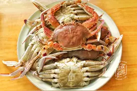 螃蟹比蔬菜便宜，5只大螃蟹只需15元，煮成一锅当饭吃，鲜图片