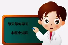 每日一中药——苍术图片