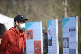 我在北京打拼，老婆在沈阳工作，去沈阳探亲时发现她另有所爱图片