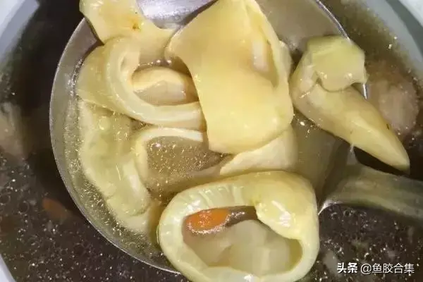 鱼胶吃法 2026年鱼胶吃法与用量
