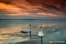 风华绝代，双子座图片
