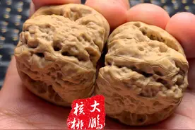 文玩核桃延庆金蟾蛤蟆头 平谷粗筋方块图片