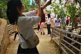 赏花啦！茂名化州10万亩化橘红花花香沁人图片