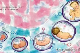 有声绘本故事《我是怎么诞生的呢？》图片