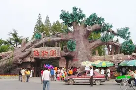 儿童节，去淮安动物园找回童年图片