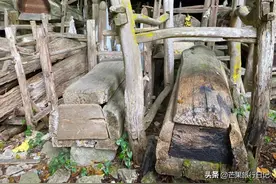 贵州大山发现一苗族洞葬，内有 100多具棺木，距今600多年图片