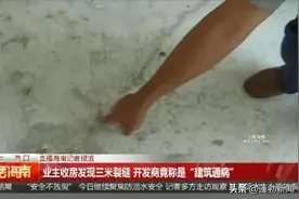 闹心！业主收房发现地面上有3米长的裂缝，开发商竟称是“建筑通病”图片