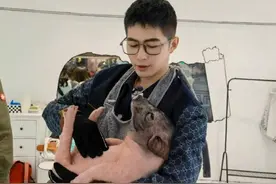 陈学冬黄景瑜撸猪差别大，陈学冬贴心公主抱，黄景瑜笑容僵硬图片